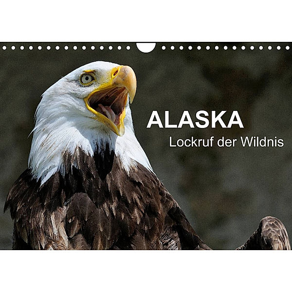 Alaska - Lockruf der Wildnis (Wandkalender 2023 DIN A4 quer), Dieter Wilczek