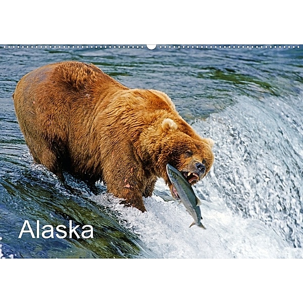 Alaska (Wandkalender 2014 DIN A3 quer), Thomas Sbampato