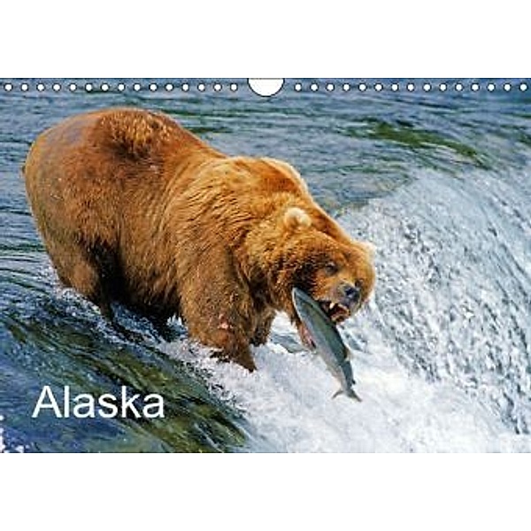 Alaska (Wandkalender 2015 DIN A4 quer), Thomas Sbampato
