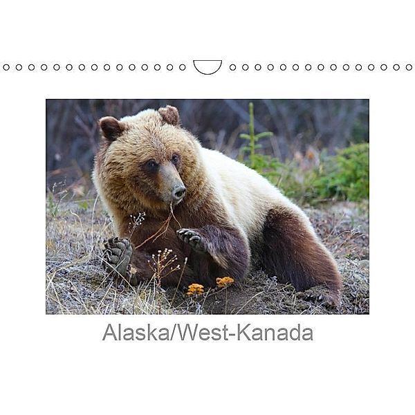 Alaska/West-Kanada (Wandkalender 2019 DIN A4 quer), Carsten Braue