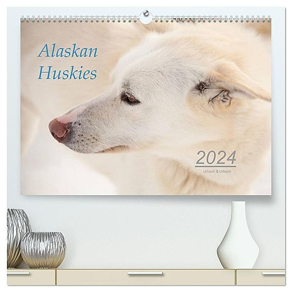 Alaskan Huskies (hochwertiger Premium Wandkalender 2024 DIN A2 quer), Kunstdruck in Hochglanz, Urbach & Urbach