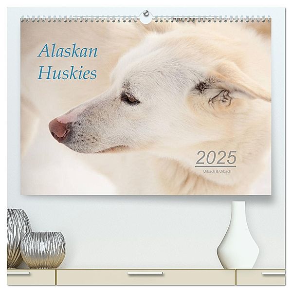 Alaskan Huskies (hochwertiger Premium Wandkalender 2025 DIN A2 quer), Kunstdruck in Hochglanz, Calvendo, Urbach & Urbach