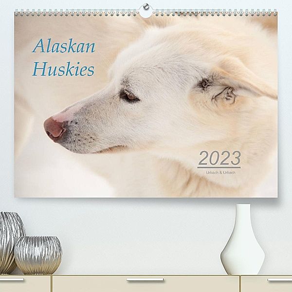 Alaskan Huskies (Premium, hochwertiger DIN A2 Wandkalender 2023, Kunstdruck in Hochglanz), Urbach & Urbach