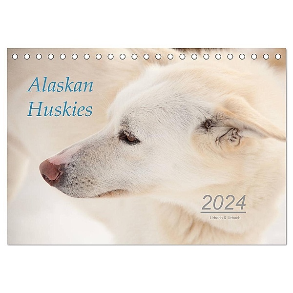 Alaskan Huskies (Tischkalender 2024 DIN A5 quer), CALVENDO Monatskalender, Urbach & Urbach