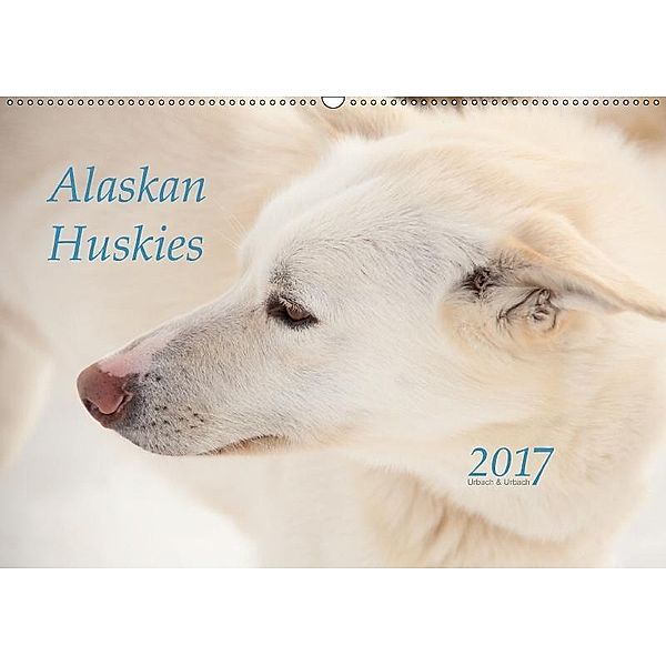 Alaskan Huskies (Wandkalender 2017 DIN A2 quer), Urbach & Urbach