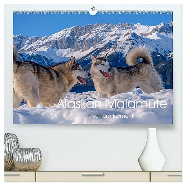 Alaskan Malamute in seinem Element (hochwertiger Premium Wandkalender 2024 DIN A2 quer), Kunstdruck in Hochglanz, wuffclick-pic