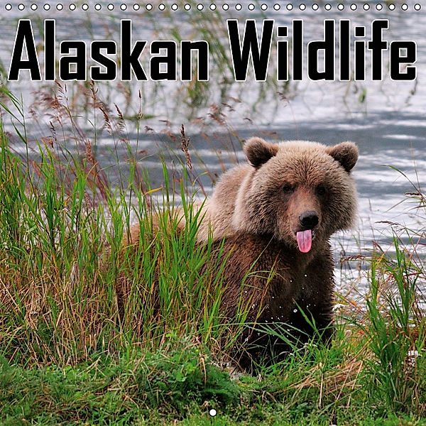 Alaskan Wildlife (Wall Calendar 2019 300 × 300 mm Square), Dieter-M. Wilczek