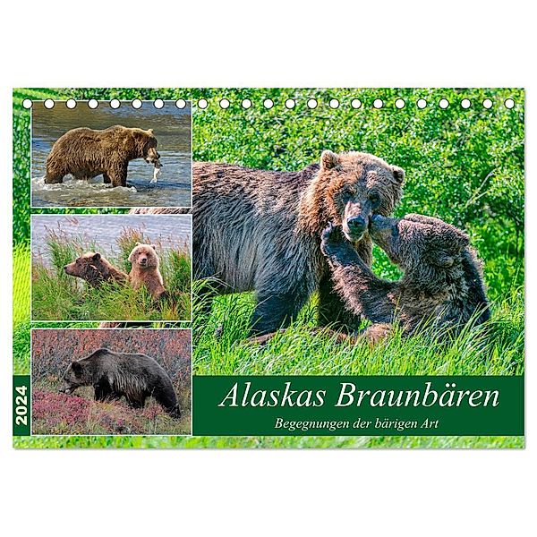 Alaskas Braunbären - Begegnungen der bärigen Art (Tischkalender 2024 DIN A5 quer), CALVENDO Monatskalender, Dieter Wilczek