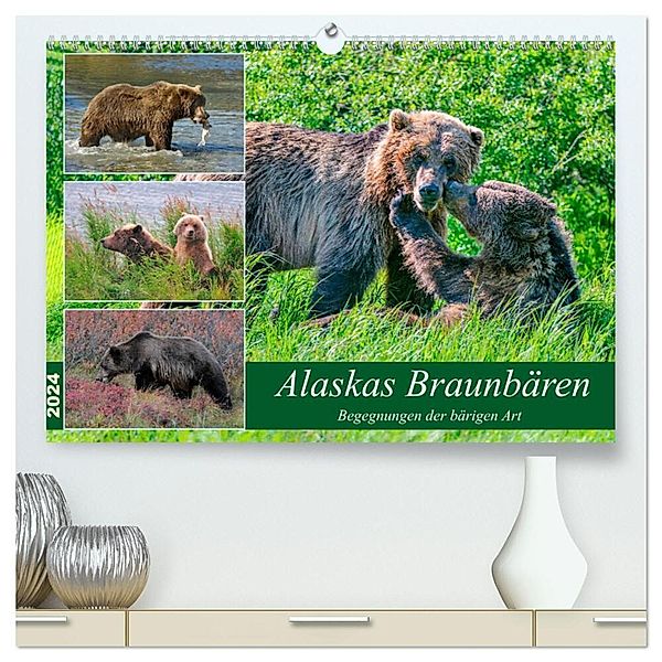 Alaskas Braunbären - Begegnungen der bärigen Art (hochwertiger Premium Wandkalender 2024 DIN A2 quer), Kunstdruck in Hochglanz, Dieter Wilczek