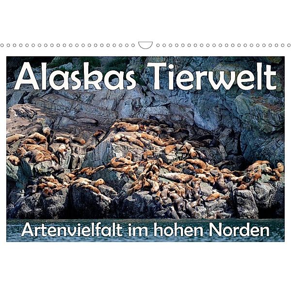 Alaskas Tierwelt - Artenvielfalt im hohen Norden (Wandkalender 2023 DIN A3 quer), Dieter Wilczek
