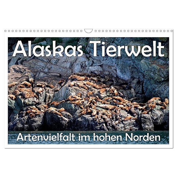 Alaskas Tierwelt - Artenvielfalt im hohen Norden (Wandkalender 2024 DIN A3 quer), CALVENDO Monatskalender, Dieter Wilczek