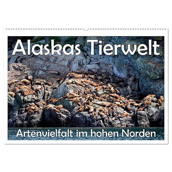 Alaskas Tierwelt - Artenvielfalt im hohen Norden (Wandkalender 2025 DIN A2 quer), CALVENDO Monatskalender, Calvendo
