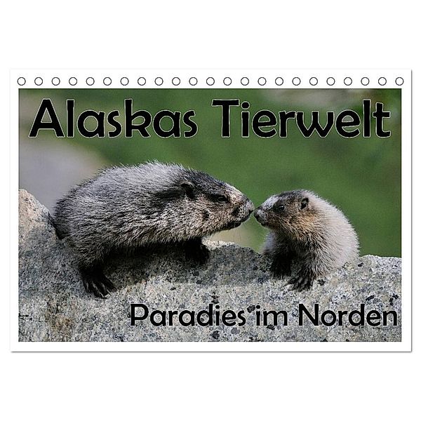 Alaskas Tierwelt - Paradies im Norden (Tischkalender 2025 DIN A5 quer), CALVENDO Monatskalender, Calvendo, Dieter Wilczek