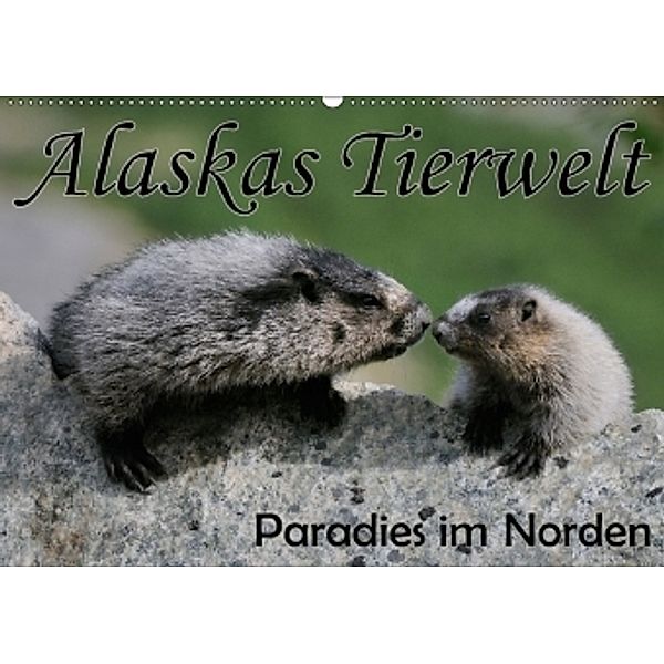 Alaskas Tierwelt - Paradies im Norden (Wandkalender 2017 DIN A2 quer), Dieter-M. Wilczek