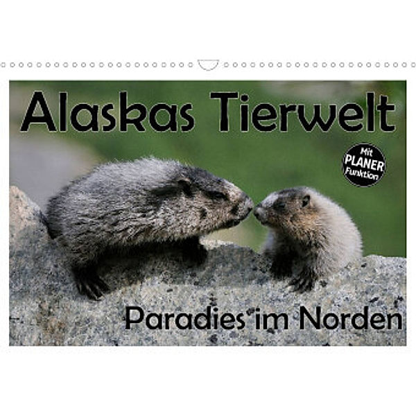 Alaskas Tierwelt - Paradies im Norden (Wandkalender 2022 DIN A3 quer), Dieter-M. Wilczek