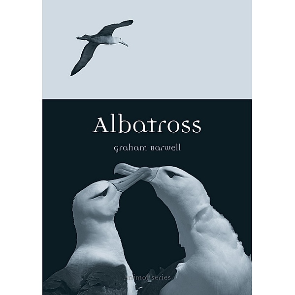 Albatross / Animal, Barwell Graham Barwell