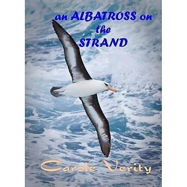 Albatross on the Strand, Carole Verity