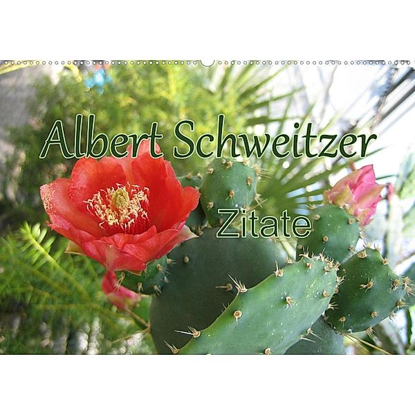 Albert Schweitzer Zitate (Wandkalender 2023 DIN A2 quer), M. Lindner (Fotos)