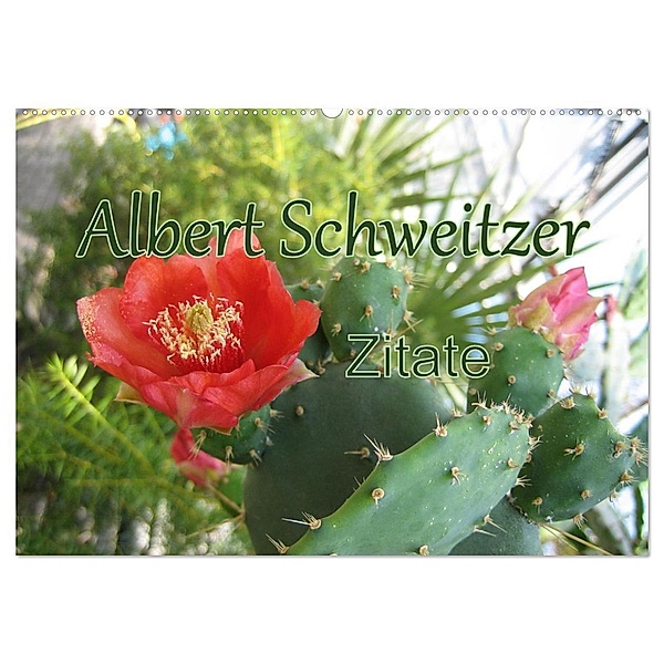 Albert Schweitzer Zitate (Wandkalender 2024 DIN A2 quer), CALVENDO Monatskalender, M. Lindner (Fotos)
