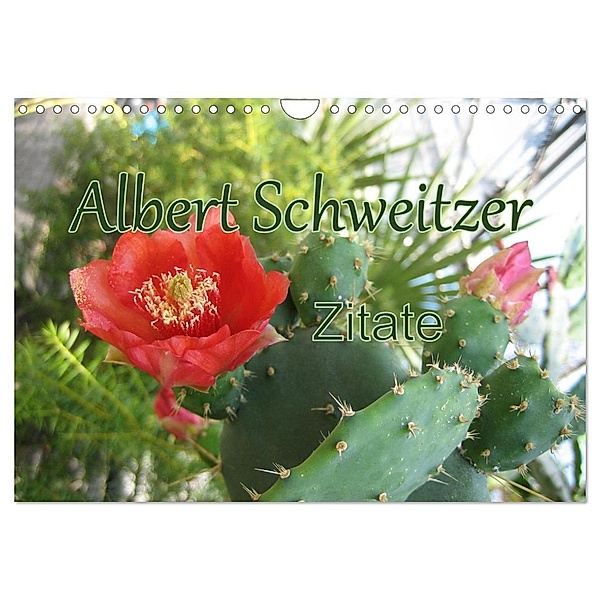 Albert Schweitzer Zitate (Wandkalender 2024 DIN A4 quer), CALVENDO Monatskalender, M. Lindner (Fotos)