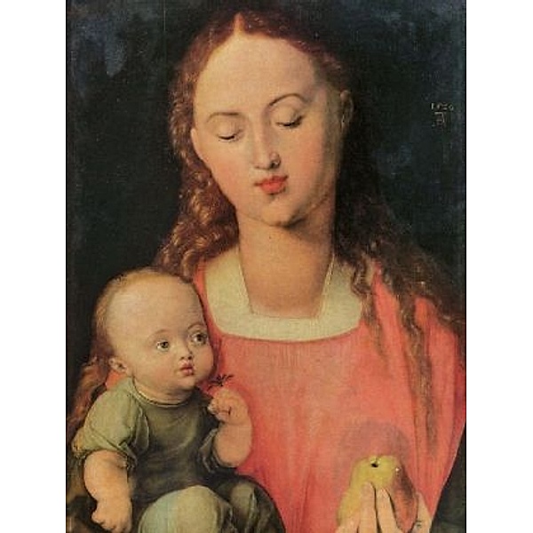Albrecht Dürer - Maria mit Kind - 2.000 Teile (Puzzle)