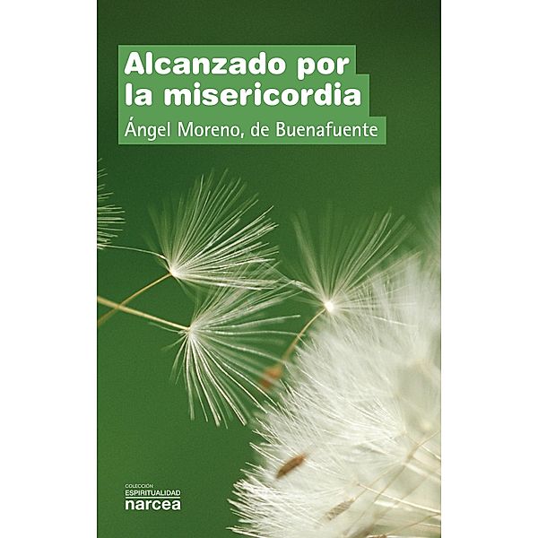 Alcanzado por la misericordia / Espiritualidad Bd.309, Ángel Moreno de Buenafuente