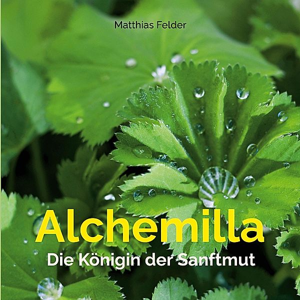 Alchemilla, Matthias Felder