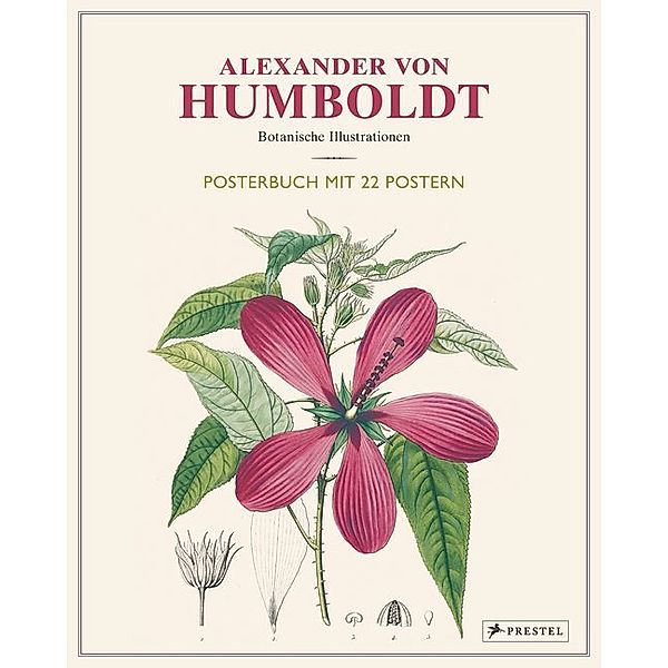 Alexander von Humboldt: Botanische Illustrationen., Otfried Baume