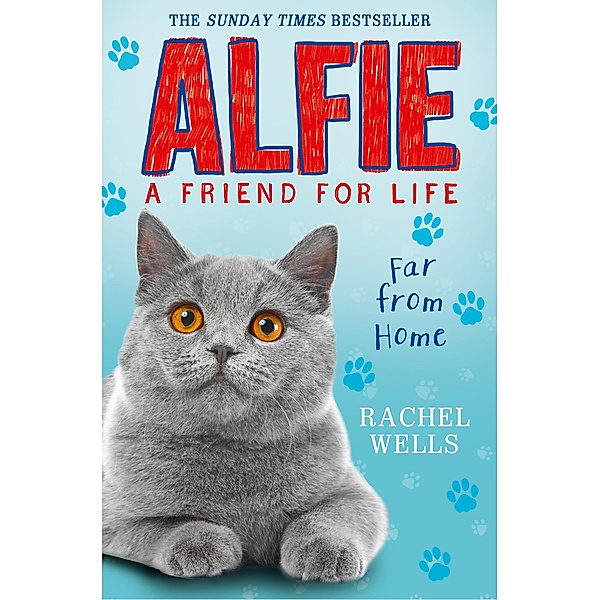 Alfie Far From Home, Rachel Wells