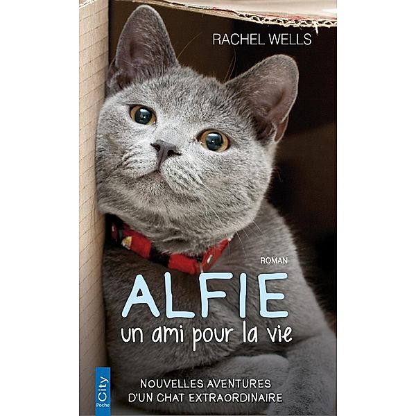 Alfie, un ami pour la vie, Rachel Wells