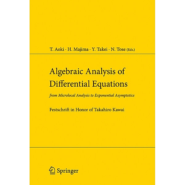 Algebraic Analysis of Differential Equations