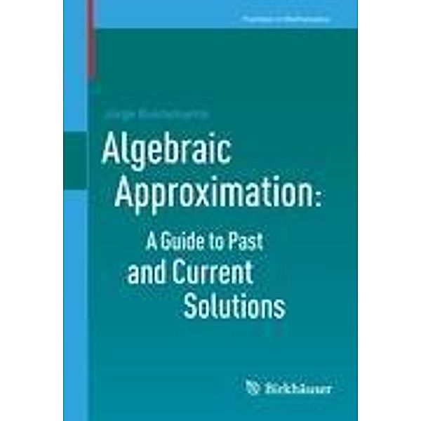 Algebraic Approximation: A Guide to Past and Current Solutions, Jorge Bustamante