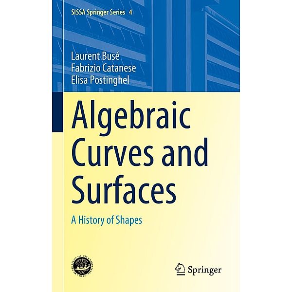 Algebraic Curves and Surfaces / SISSA Springer Series Bd.4, Laurent Busé, Fabrizio Catanese, Elisa Postinghel