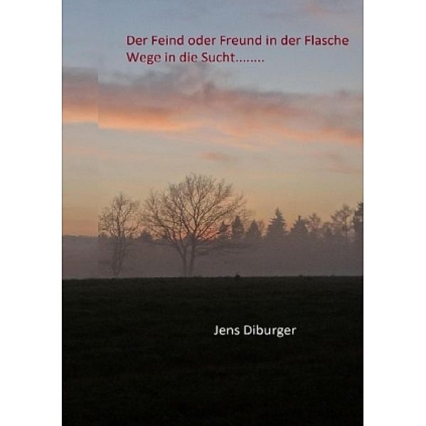 Alkohol der Feind oder Freund in der Flasche / Der Weg in die Sucht/ Co. Abhängigkeit, Jens Diburger