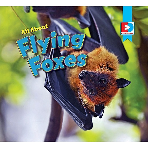 All About Flying Foxes, Katie Gillespie