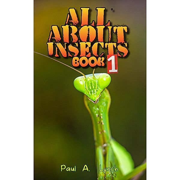 All About Insects / All About Insects, Paul A. Lynch