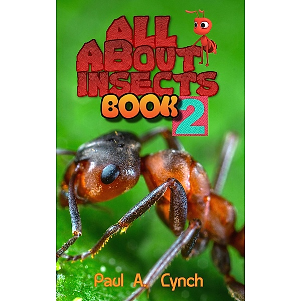 ALL About Insects / All About Insects, Paul A. Lynch