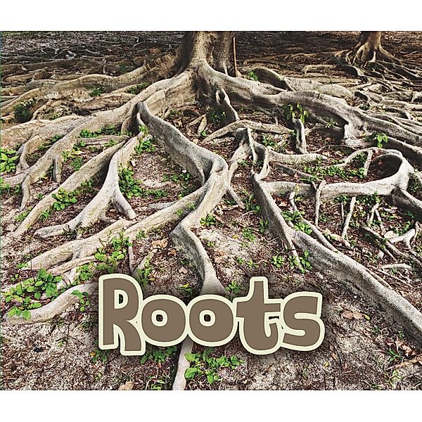 All About Roots / Raintree Publishers, Claire Throp