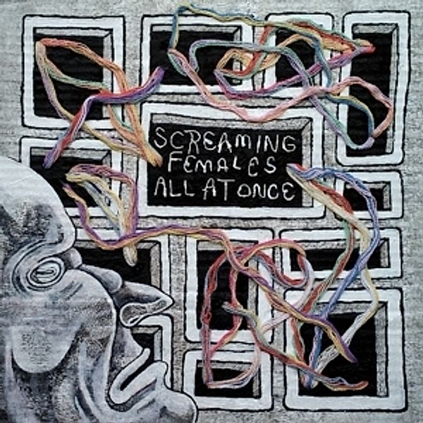 All At Once (Vinyl), Screaming Females