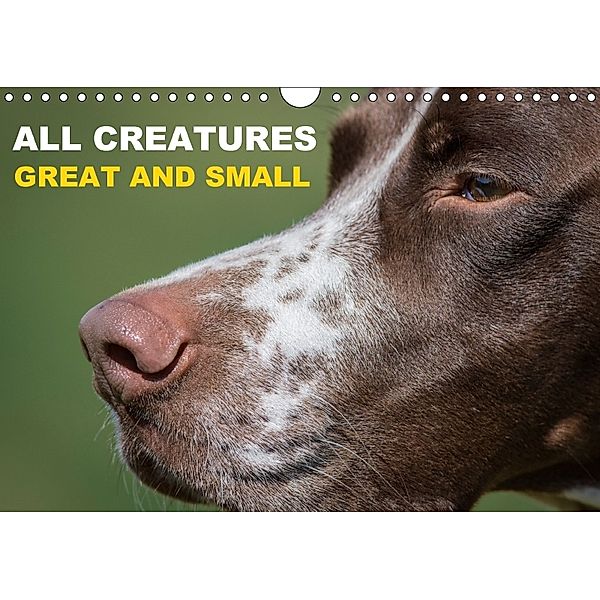 All creatures great and small (Wall Calendar 2018 DIN A4 Landscape), Alan Tunnicliffe