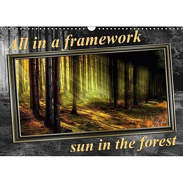 All in a framework - sun in the forest / UK-Version (Wall Calendar 2017 DIN A3 Landscape), Peter Roder