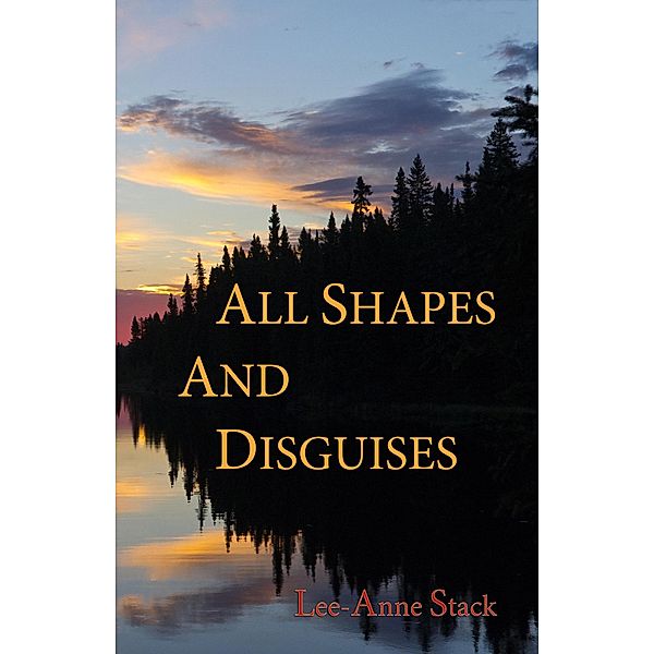 All Shapes and Disguises (Kate O'Malley Mystery, #2) / Kate O'Malley Mystery, Lee-Anne Stack