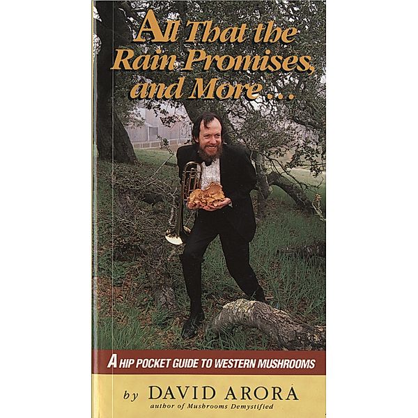 All That the Rain Promises and More, David Arora