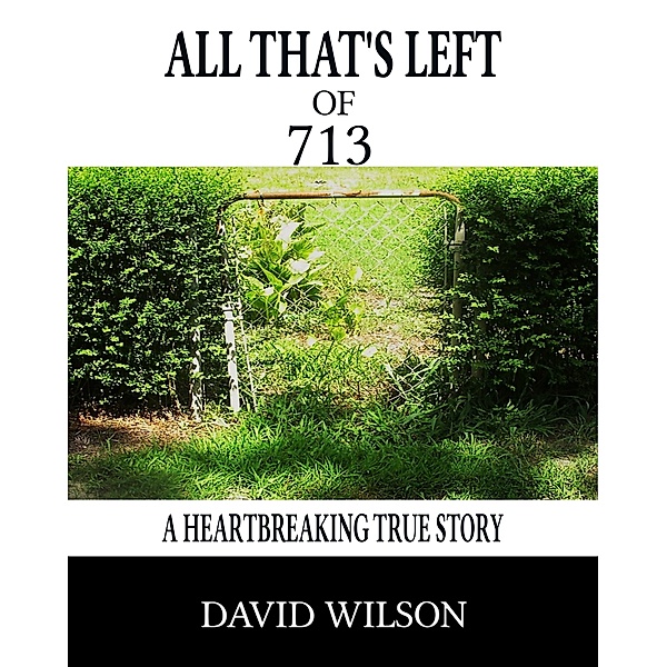 All Thats Left, David Wilson
