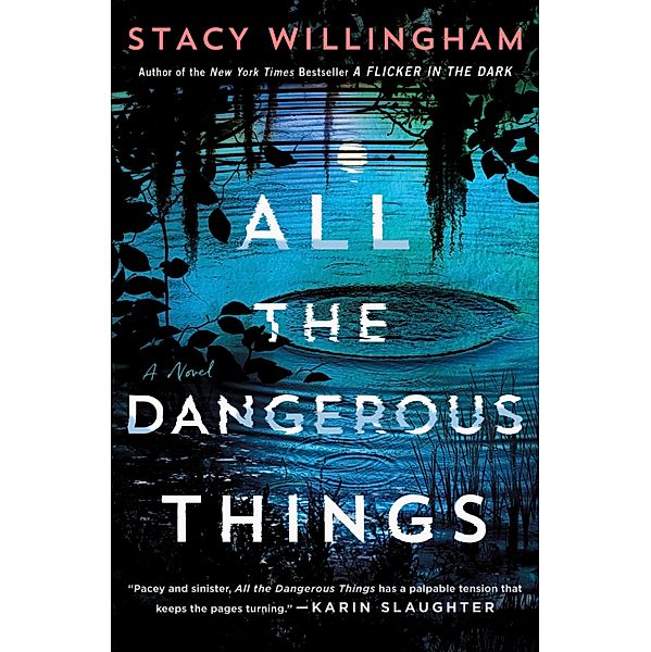 All The Dangerous Things, Stacy Willingham