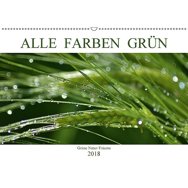 Alle Farben Grün (Wandkalender 2018 DIN A2 quer), Fotokullt