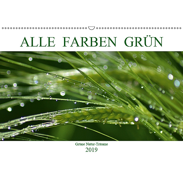 Alle Farben Grün (Wandkalender 2019 DIN A2 quer), Fotokullt