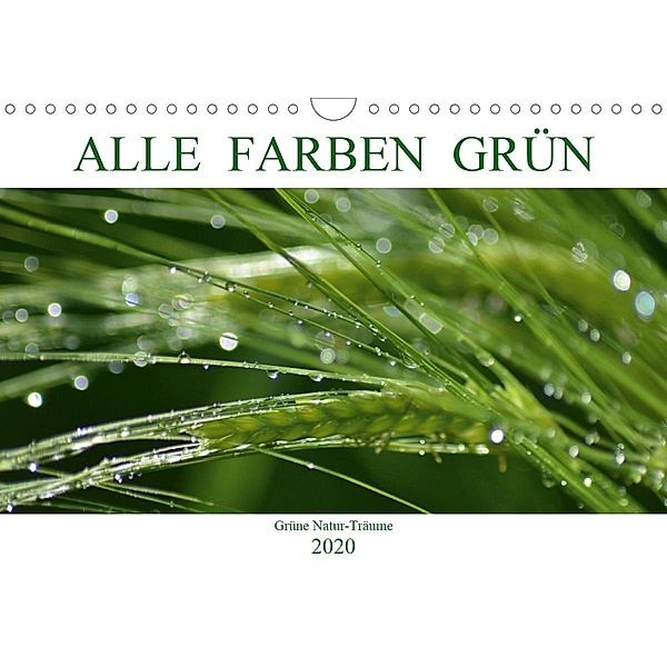 Alle Farben Grün (Wandkalender 2020 DIN A4 quer)