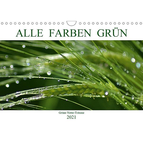 Alle Farben Grün (Wandkalender 2021 DIN A4 quer), Fotokullt, Isabell Kull