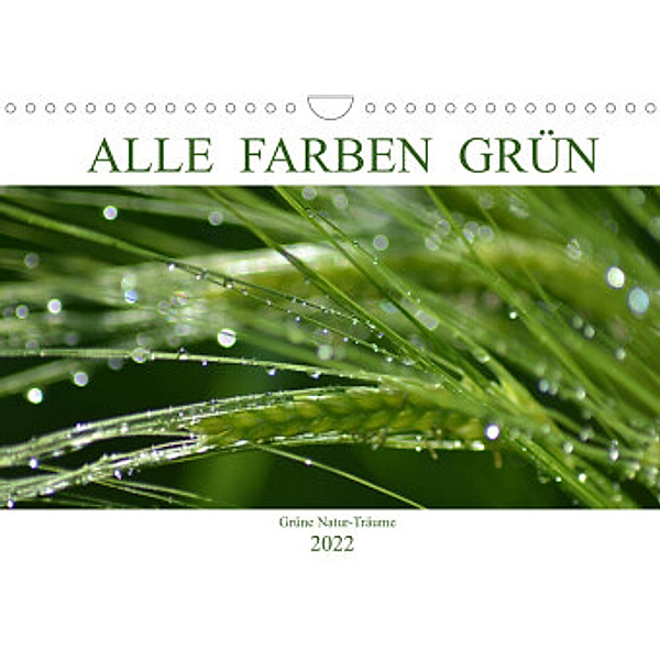 Alle Farben Grün (Wandkalender 2022 DIN A4 quer), Fotokullt, Isabell Kull
